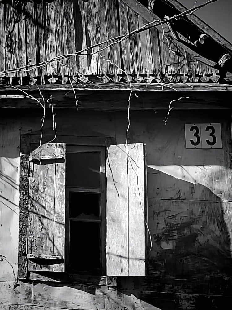Photograph by Куделенко Оксана
