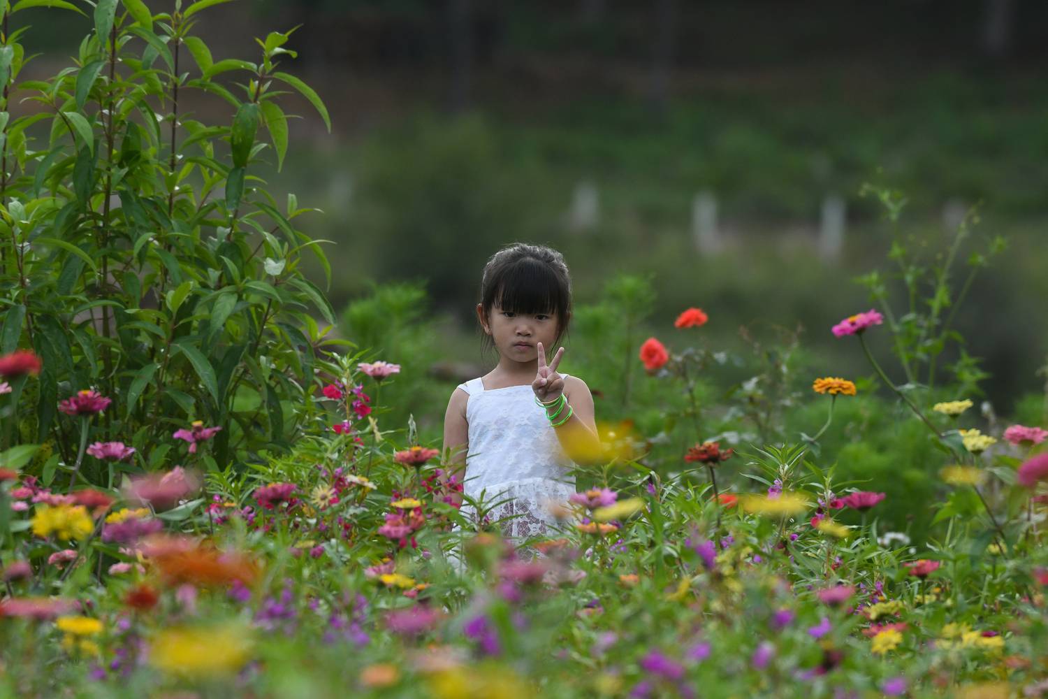 Фотография #13108331