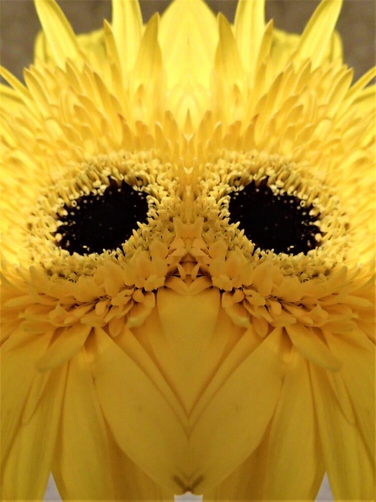 Фотография автора Станислав Карташов