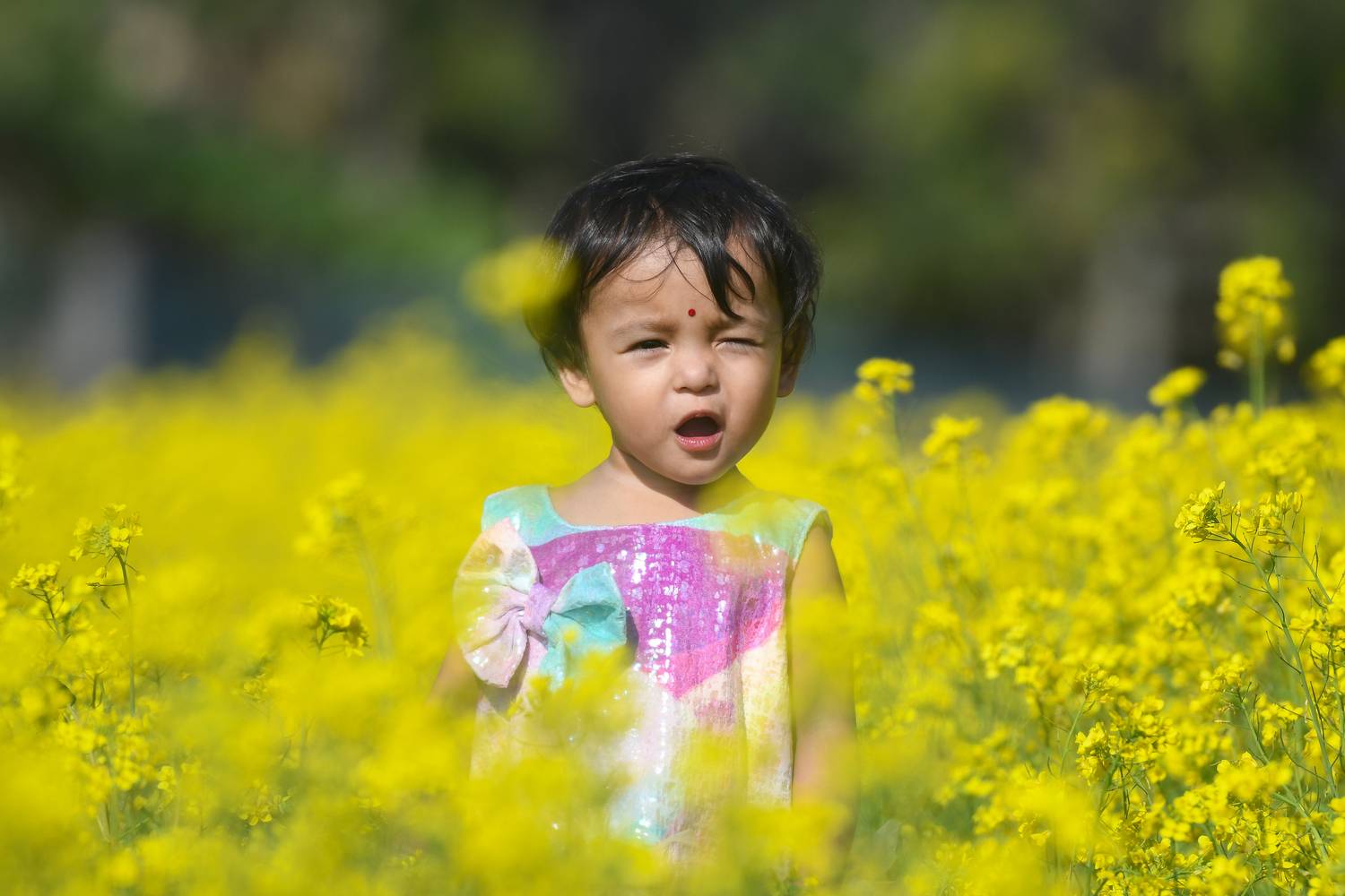 Фотография #13108338