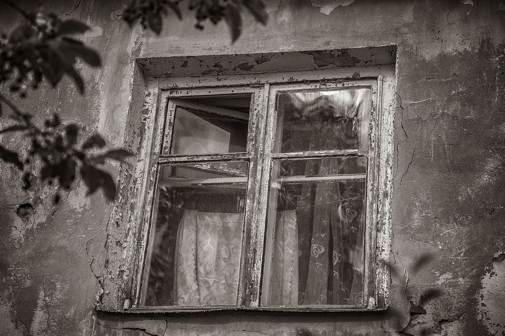 Фотография автора Алексей Трифонов