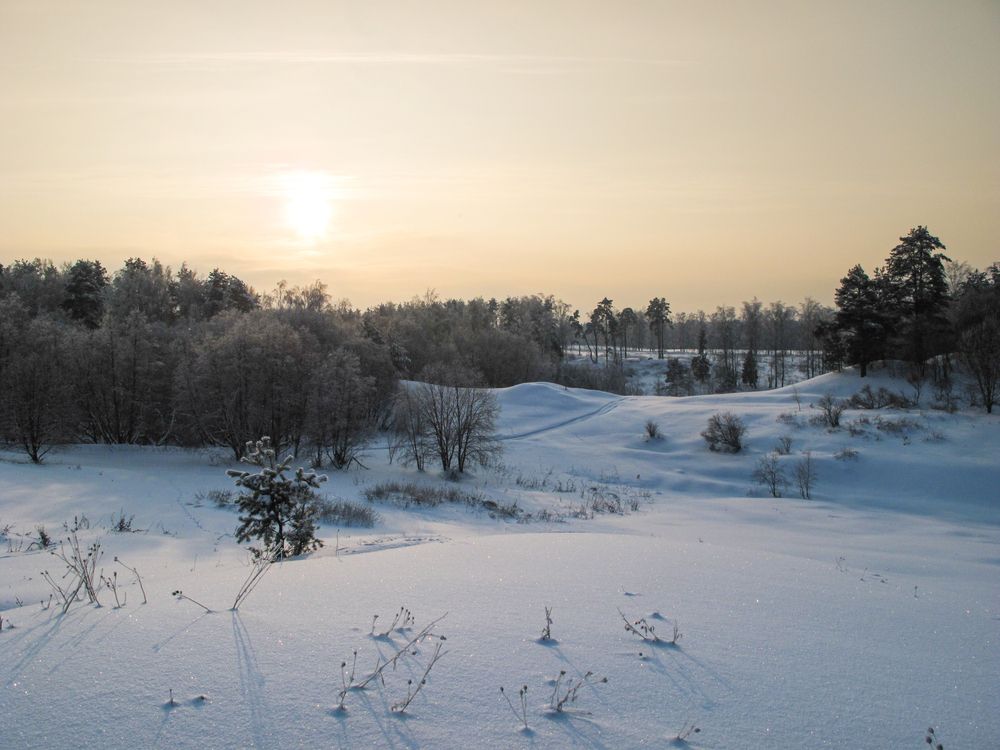 Фотография автора Александра Шилова