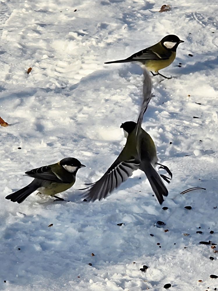 Photograph by Куделенко Оксана