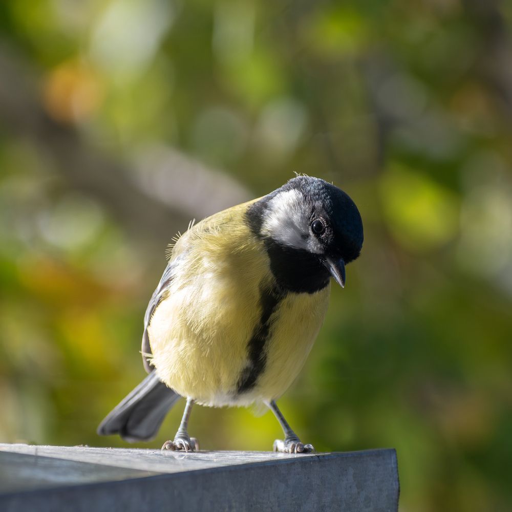 Photograph by Беловодченко