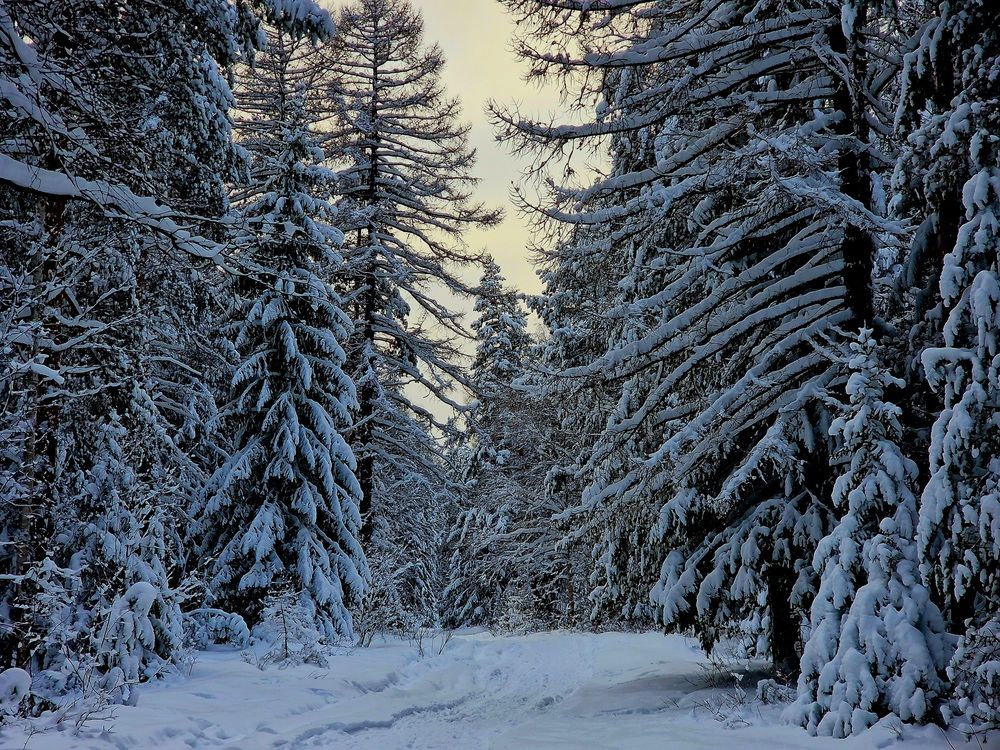 Photograph by Алексей Ворочев