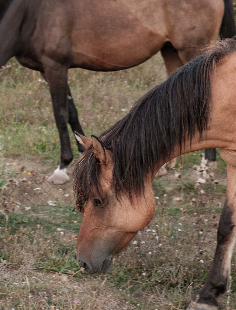 Photograph by Константин Конопихин