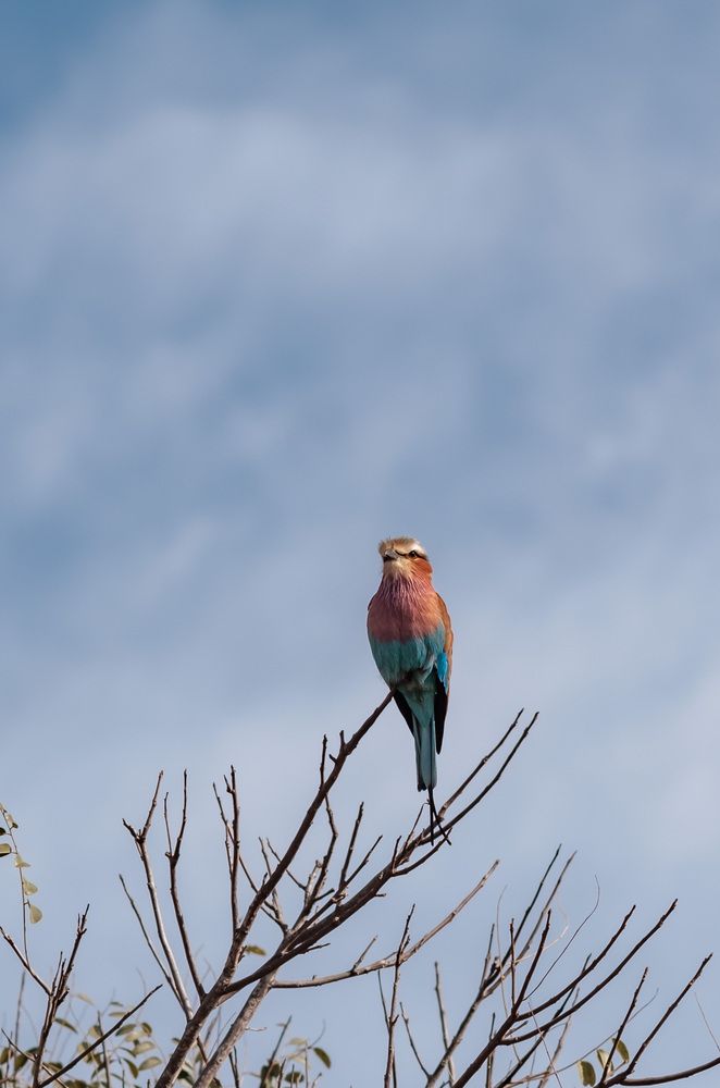 Photograph by Константин Конопихин