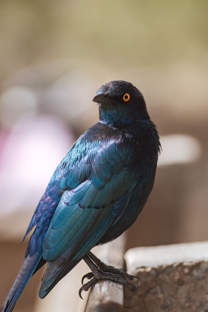 Photograph by Константин Конопихин