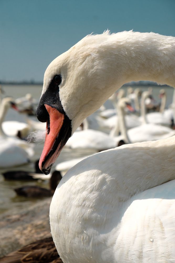 Photograph by Константин Конопихин