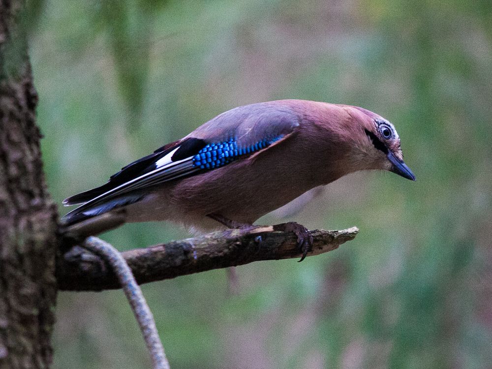 Photograph by Лолита Богачева