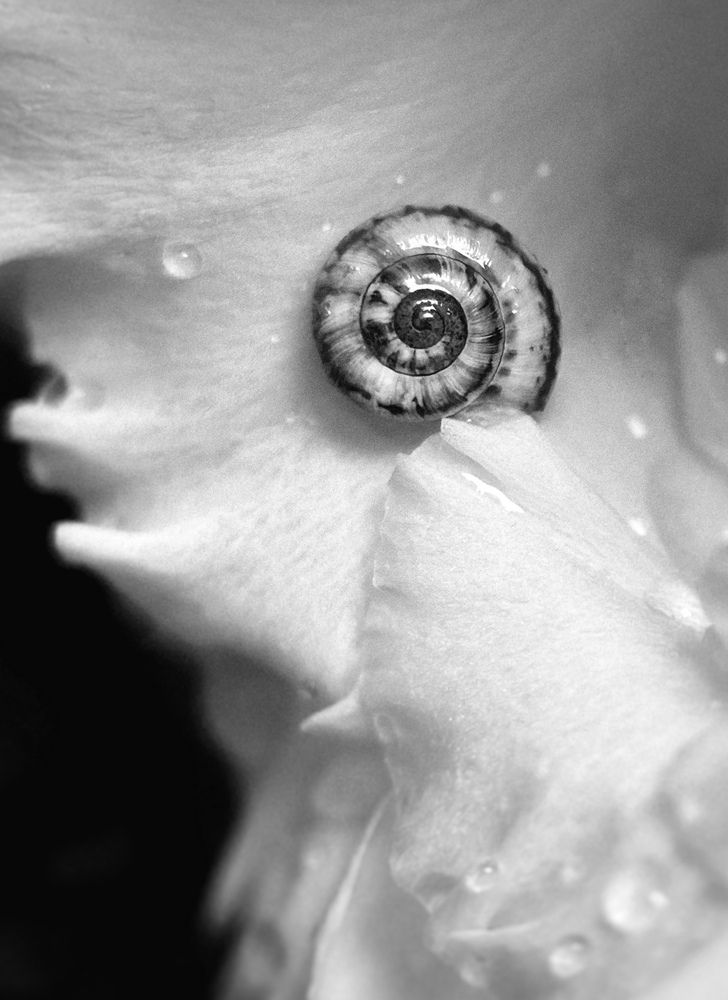 Photograph by Аруза