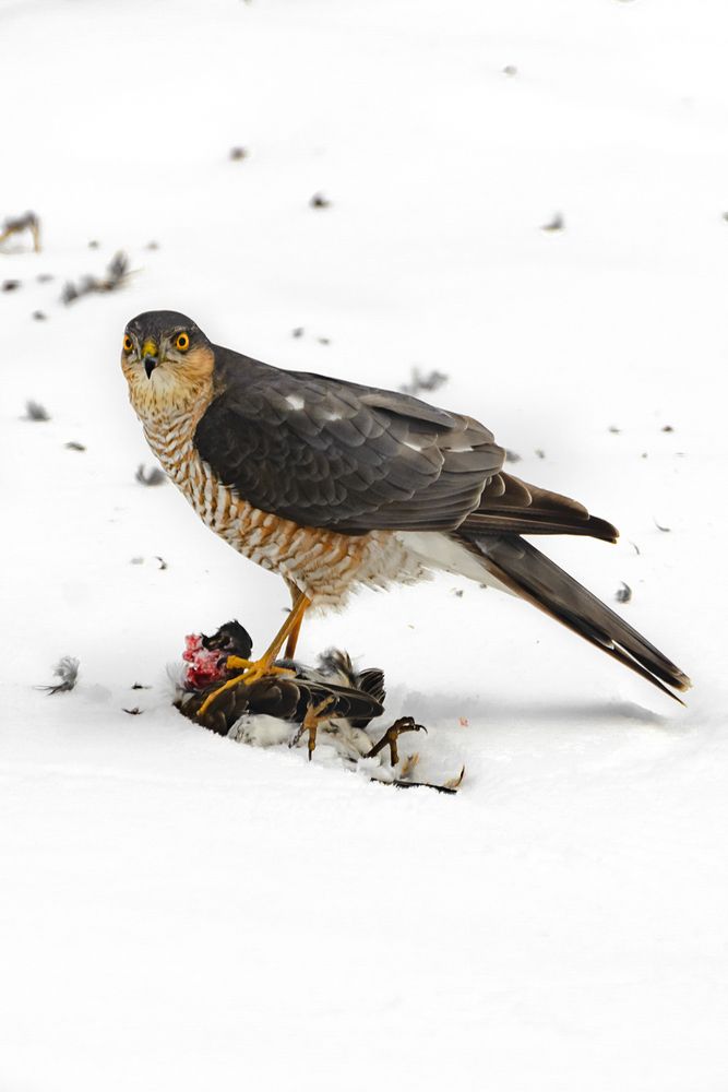 Photograph by Володин Андрей