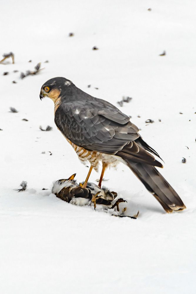 Photograph by Володин Андрей