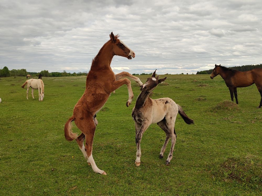 Photograph by Лолита Богачева