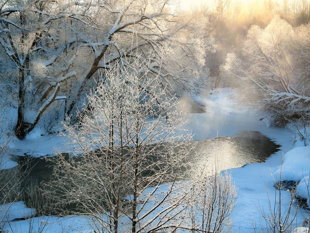 Photograph by Кондрашова Светлана