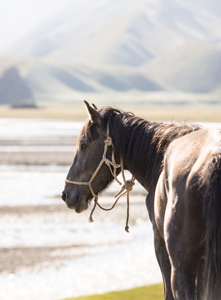 Photograph by Татьяна Михалевская