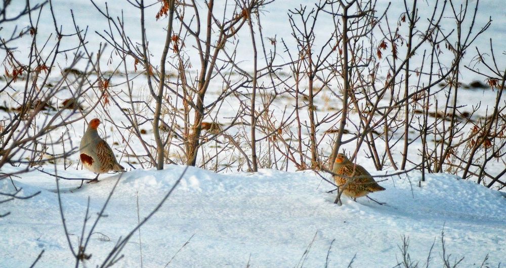 Photograph by Сергей Зайцев