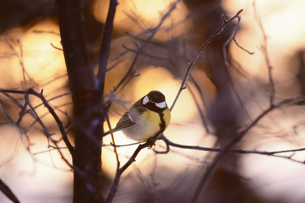 Photograph by Виталий Са