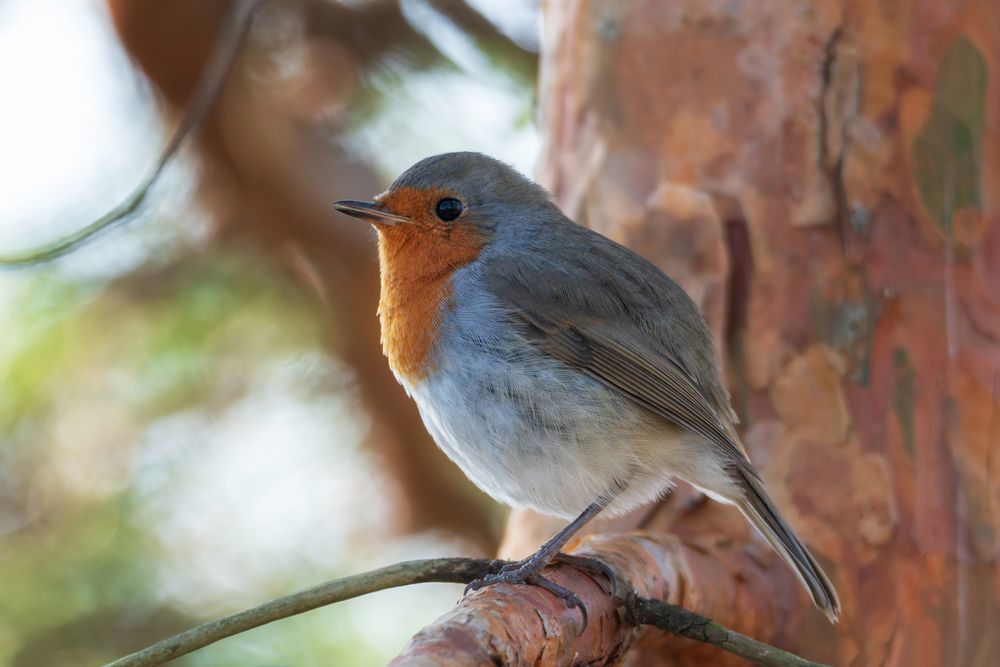 Photograph by Сергей Тихомиров