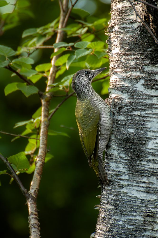 Photograph by Сергей Тихомиров