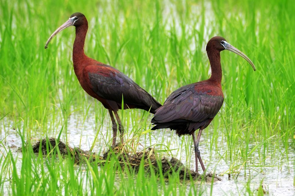 Photograph by Сергей Тихомиров