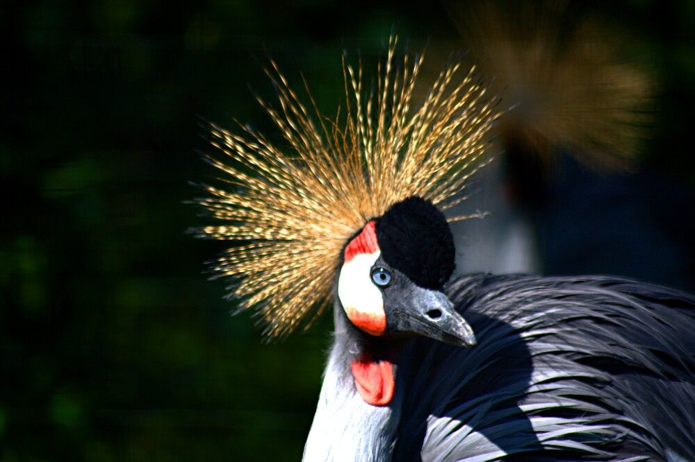 Photograph by Антон Корольков