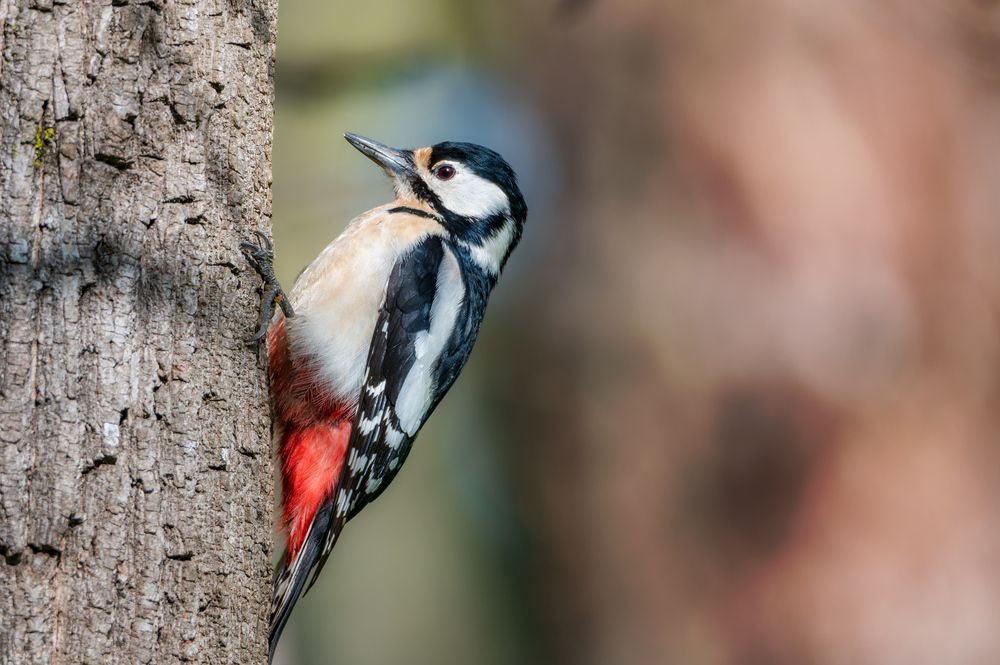 Photograph by Сергей Тихомиров