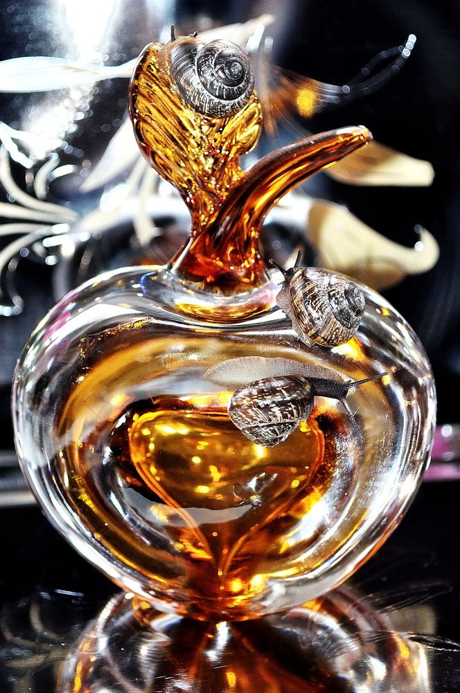 Прозрачность бытия. Transparency of Being.