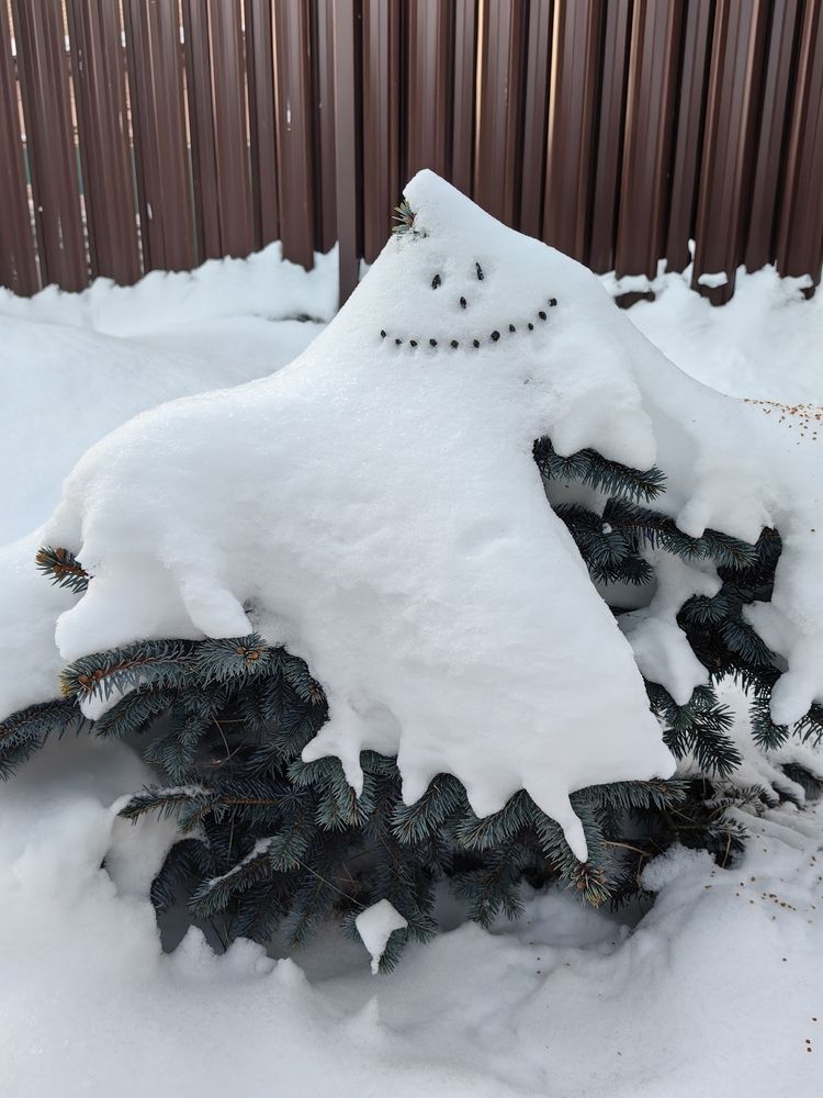 Photograph by Evgeniia Iakimenko