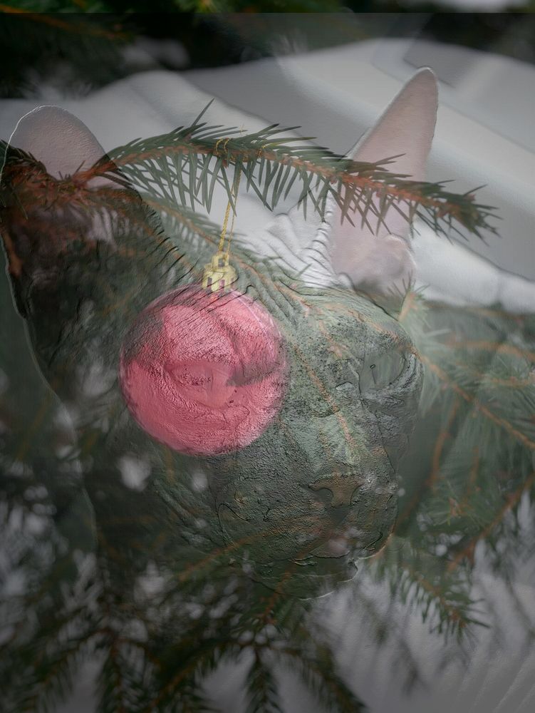 Фотография автора Владимир Лобанов