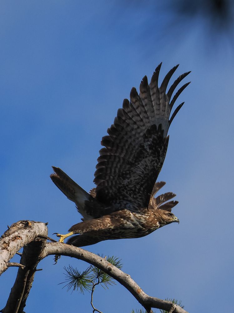 Photograph by Георгий Акопджанов