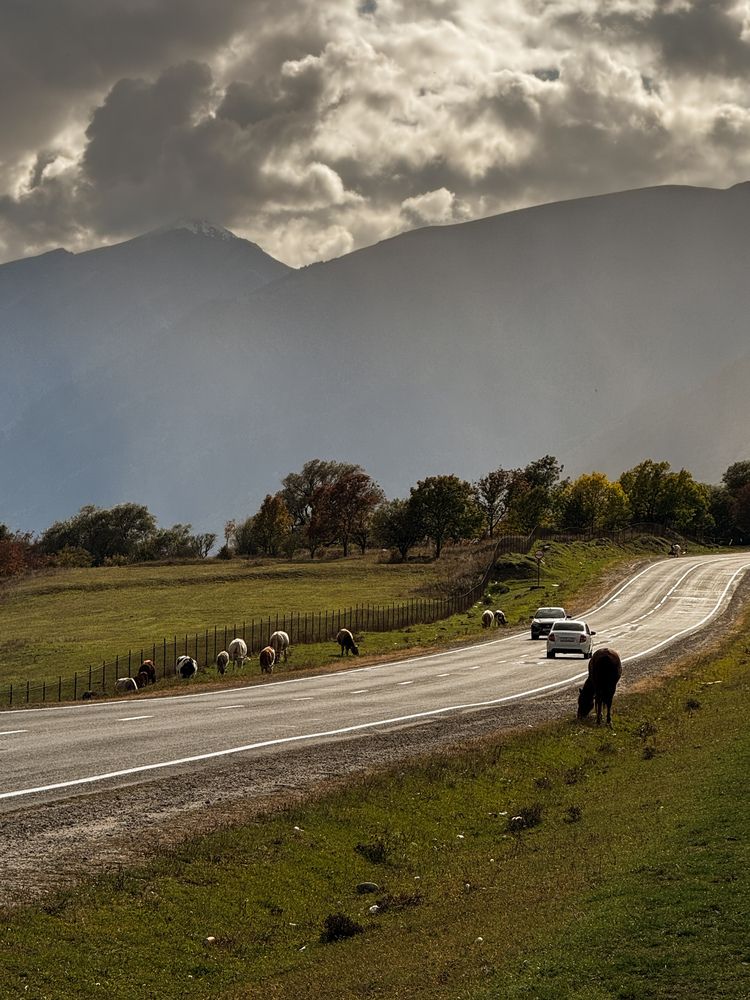 Photograph by Дарья Ищенко