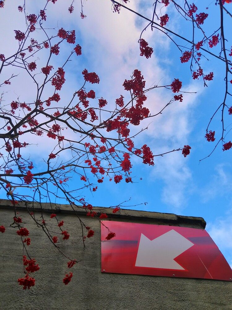 Photograph by Людмила Баглей