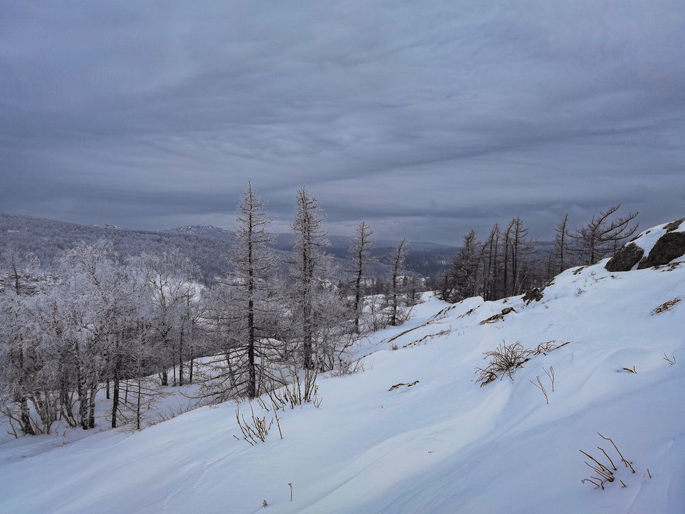 Фотография автора Inna Ivanova