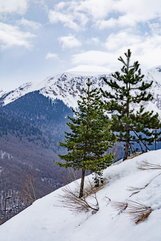 Фотография автора Сергей Синякин