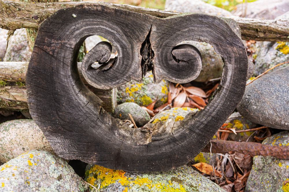 Photograph by Nikolai Barchan