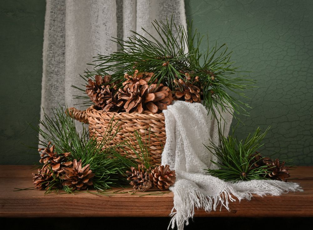 Photograph by Inna Ivanova