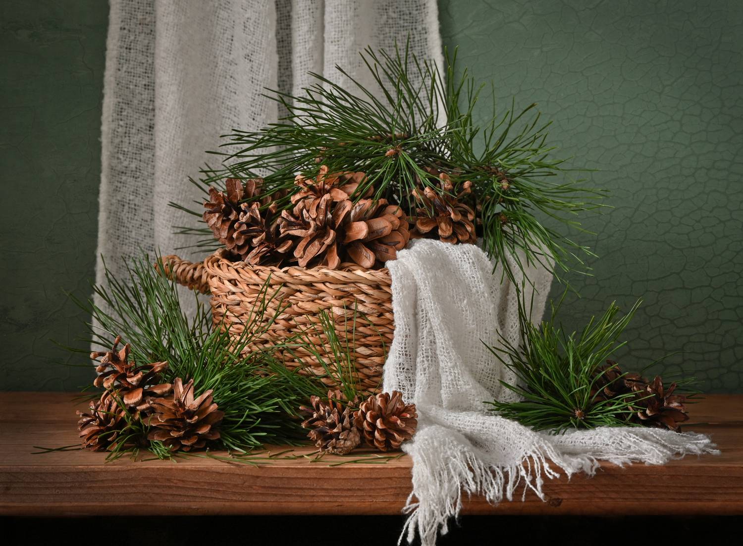 Фотография #13108919