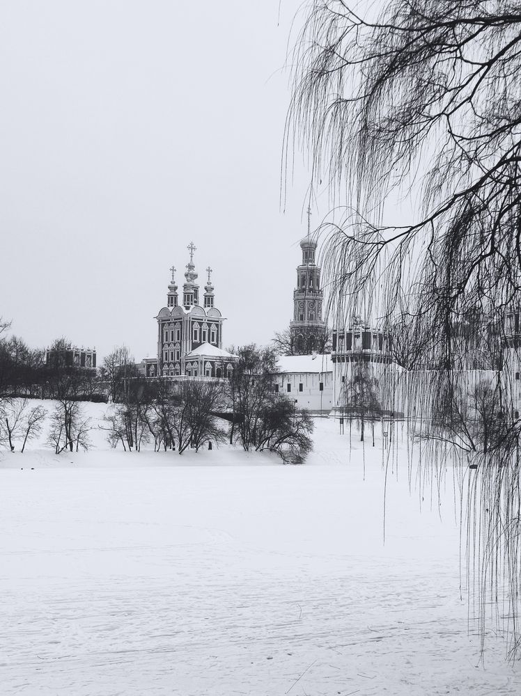 Photo #13108973