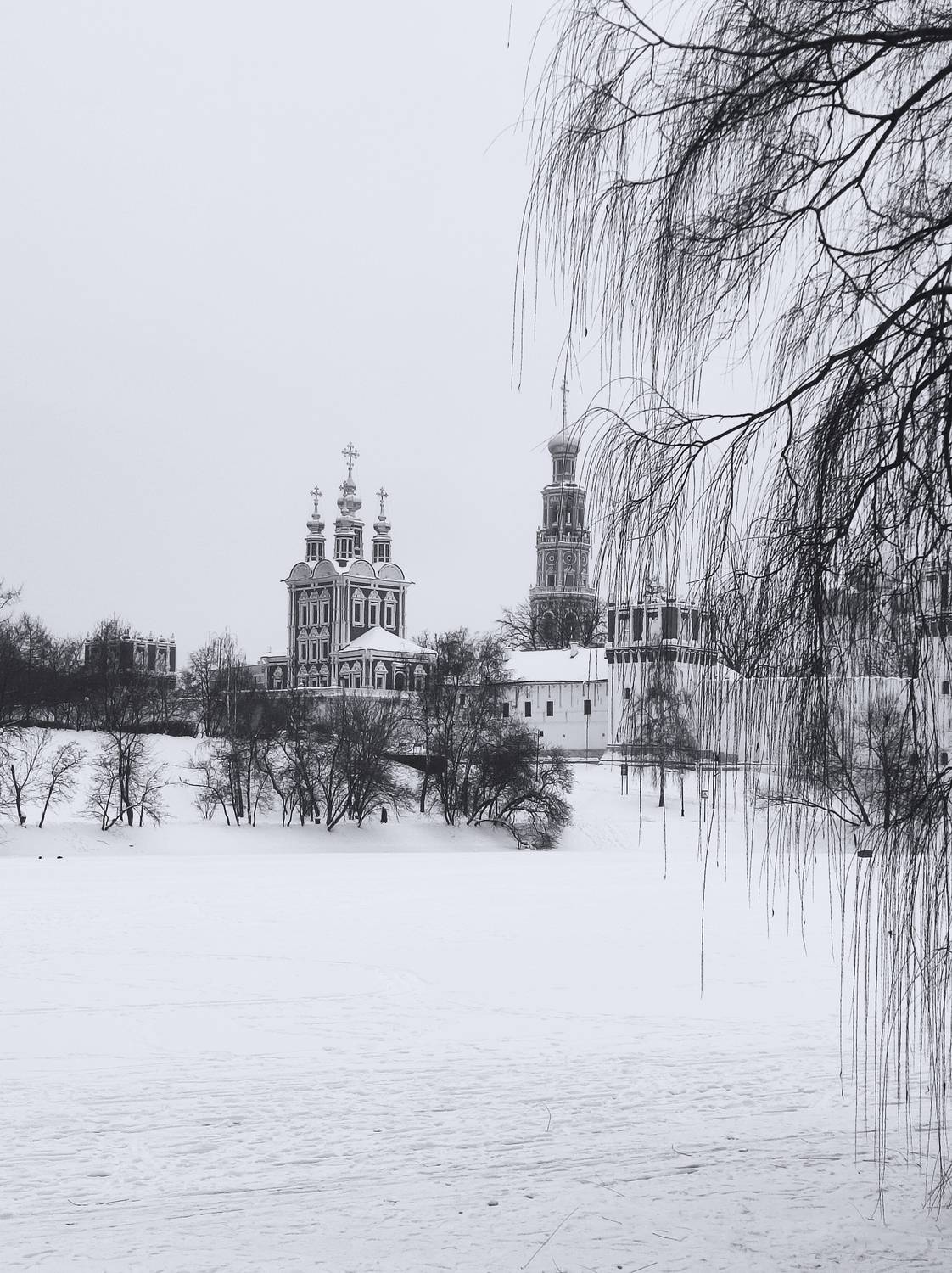 Photo #13108973