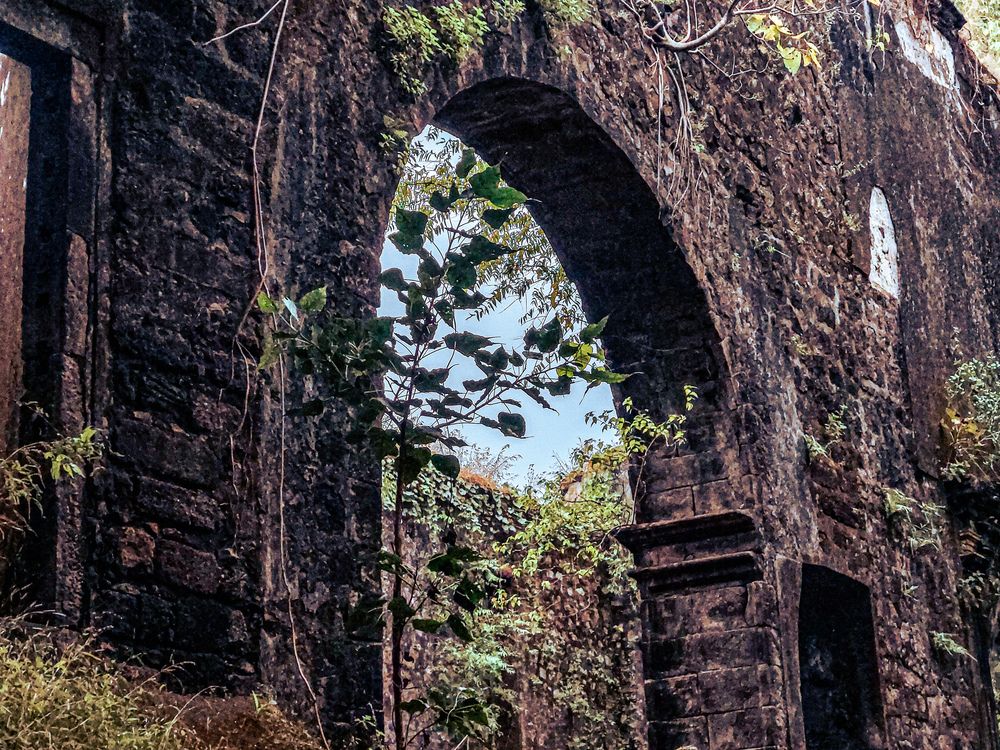 Photograph by Vedant Dhangar