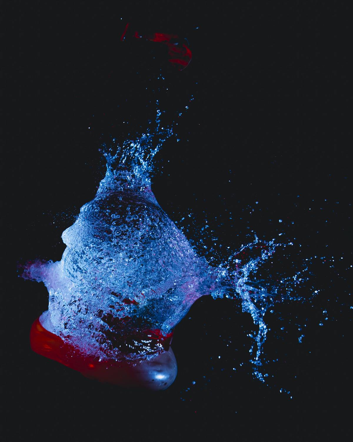 Фотография #13108989