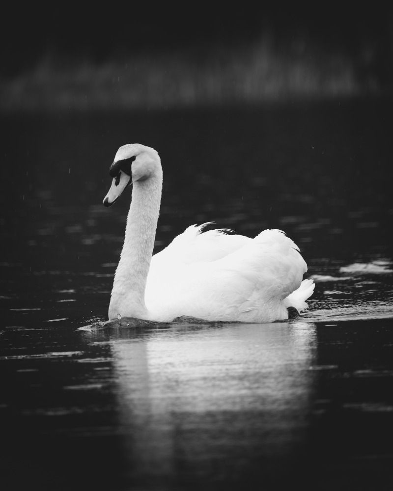 Photograph by Kaydee Staes