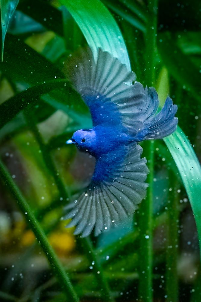 Фотография автора Sahil K