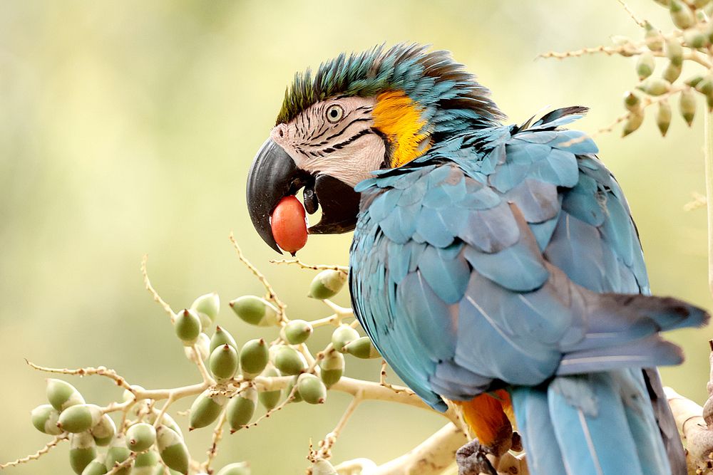 Фотография автора Ricardo Q T Rodrigues