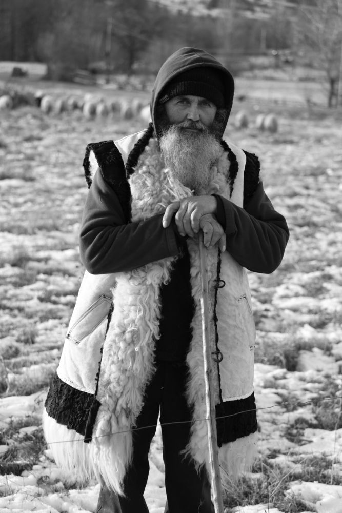Photograph by Petru Cliofos