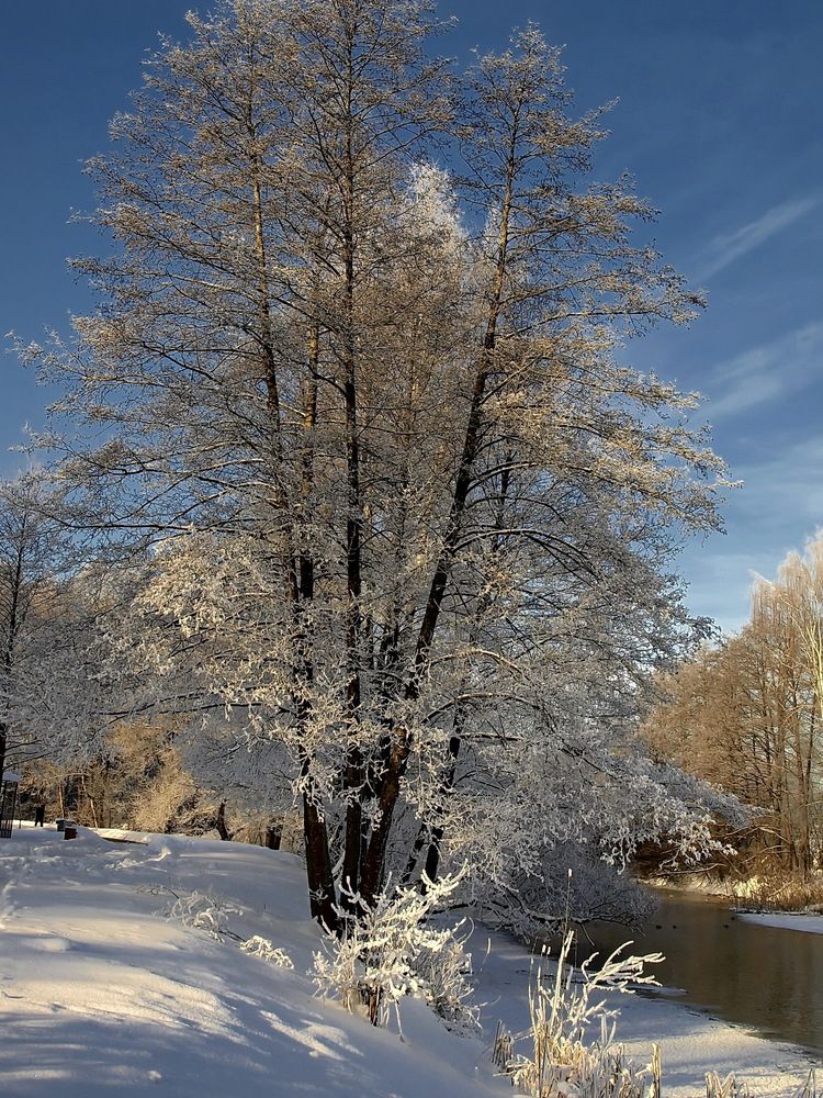 Фотография автора Игорь Чеботарёв