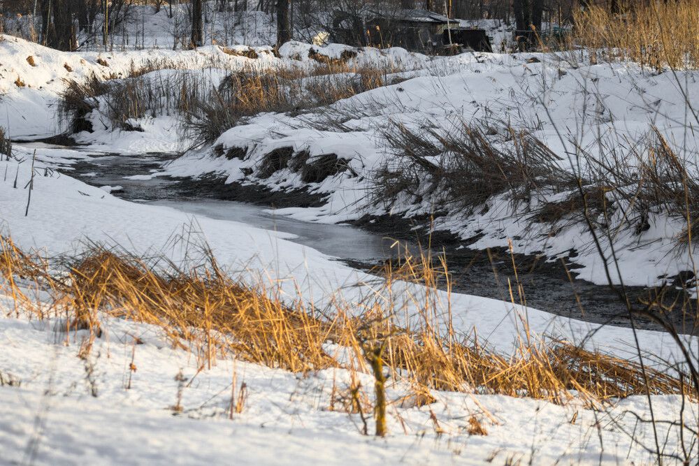 Photograph by Алексей Морозов