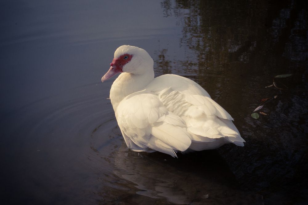 Photograph by Алексей Морозов