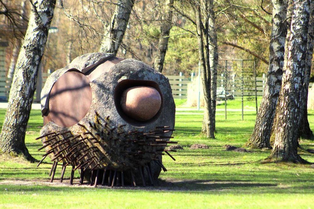 Photograph by Алексей Макаров